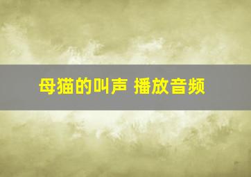 母猫的叫声 播放音频